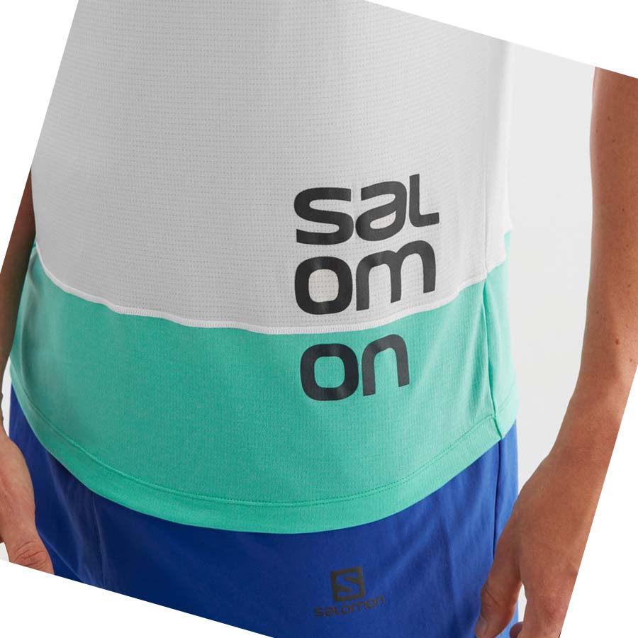 Camiseta Salomon CROSS RUN GRAPHIC Hombre Blancos | MX 3223BEX